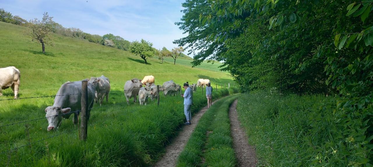 La Croisee Des Chemins Arques-la-Bataille المظهر الخارجي الصورة